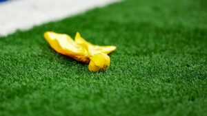 Michigan high school disciplines player over disturbing act, org says